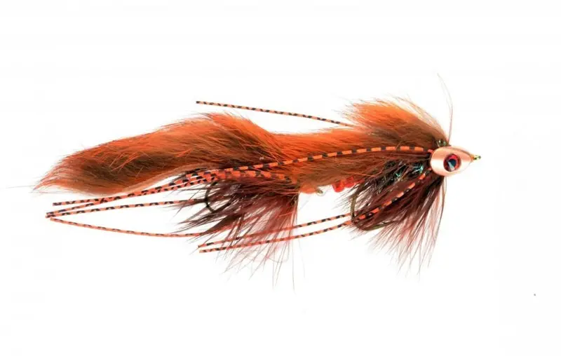 Beebe'S Candyman Fly Pattern 1
