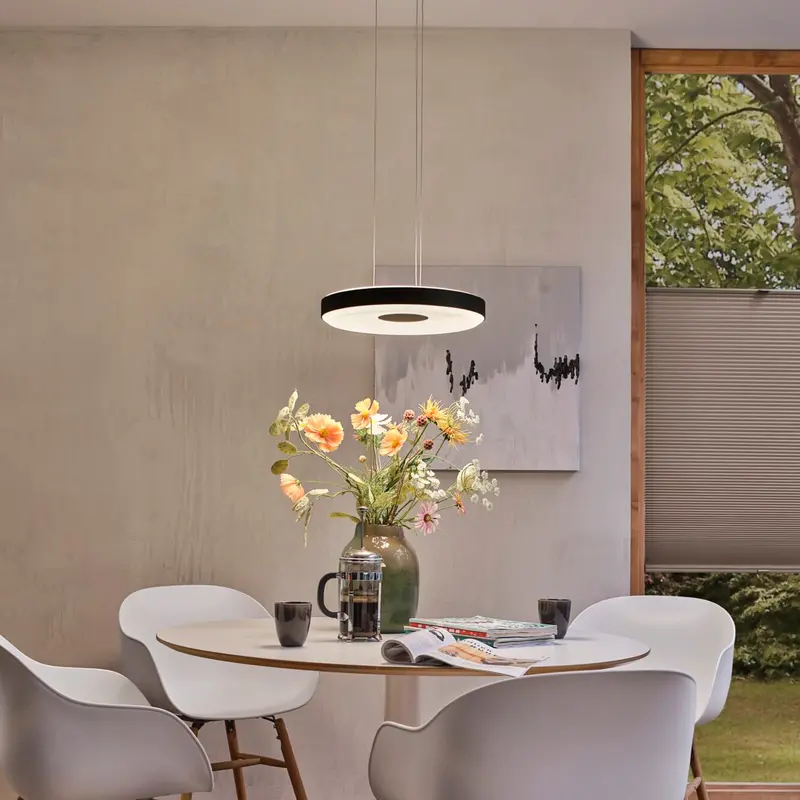 Paulmann Puric Pane 11W Smart Zigbee 3.0 Dimmable Led Pendant Light In Black 1