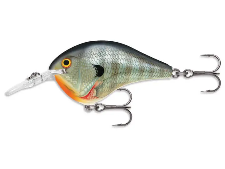 Rapala Dt-10 Medium-Dive Crankbait 1