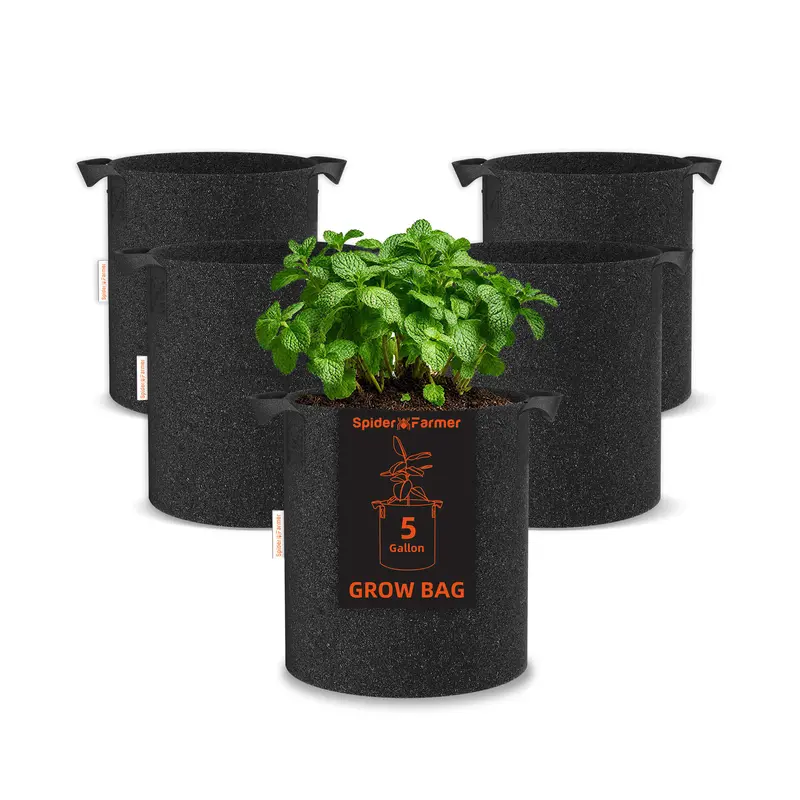 Spider Farmer 5-Gallon Reinforced Nonwoven Fabric Grow Bag (300G) 1