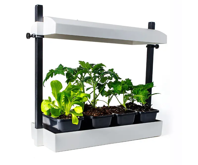 Sunblaster Micro T5 Grow Light Garden – Clean White Finish 1