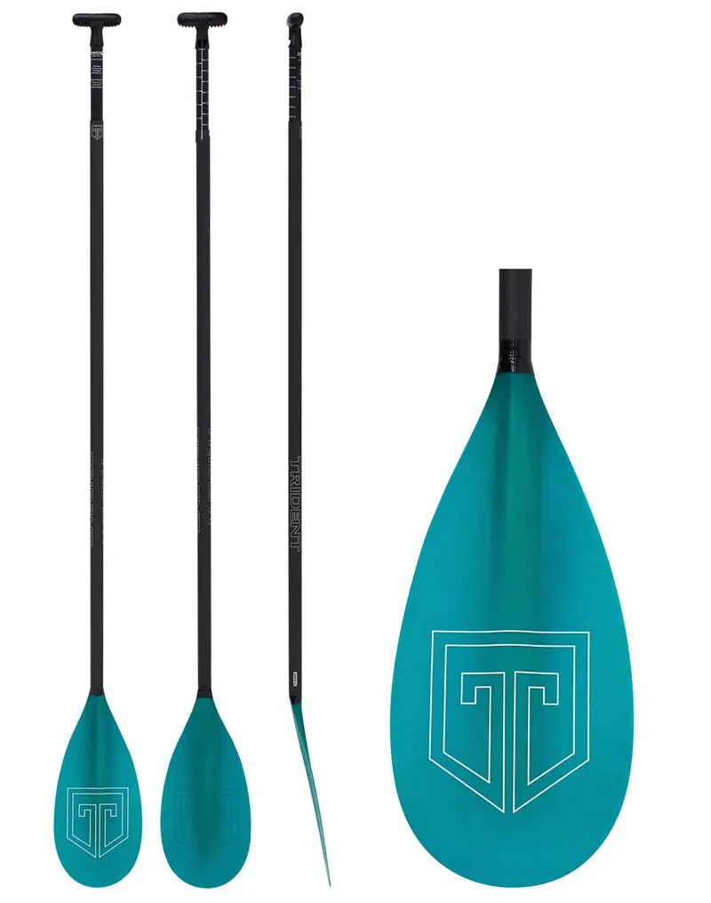 Trident Pro Fg High-Performance Lever Lock Pole 1